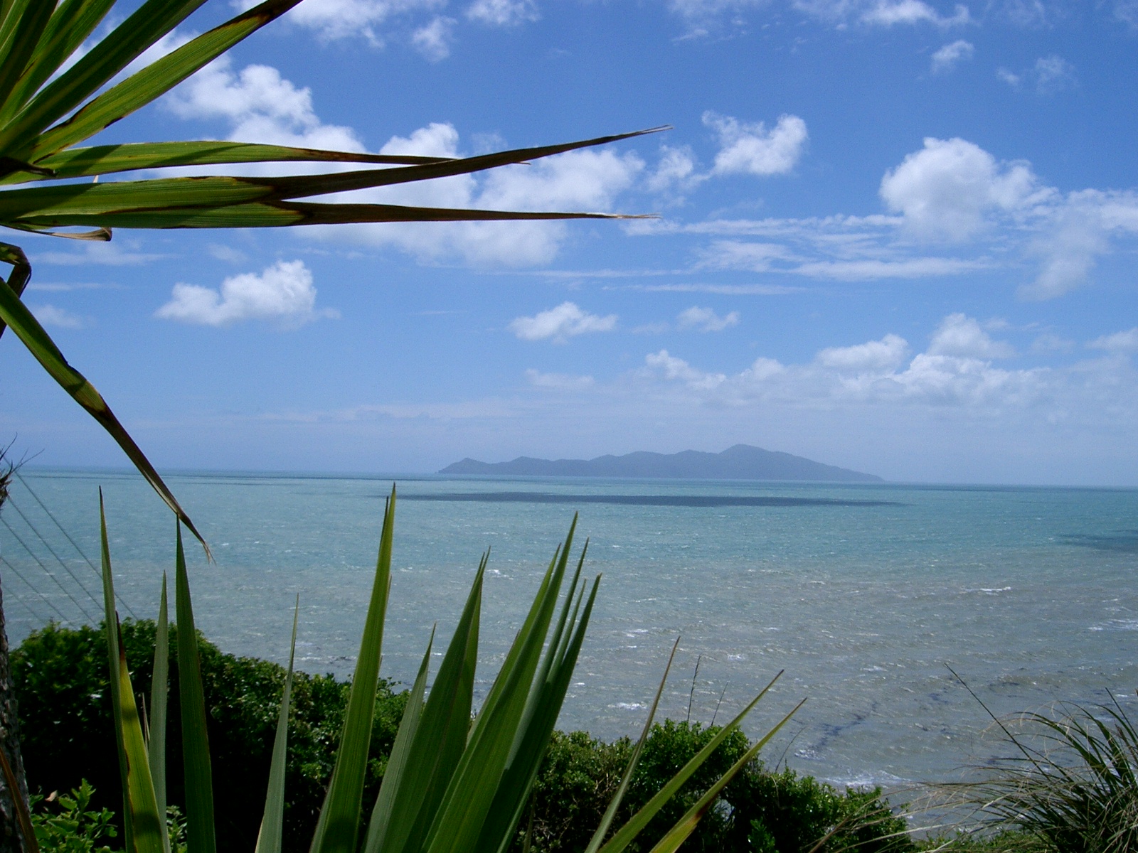 Kapiti accountants